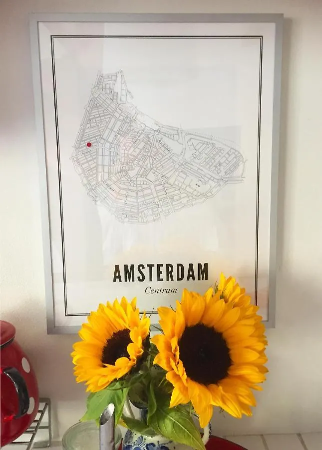Jackie O Studio Amsterdam 3*,  Netherlands